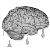 Brain Dripping